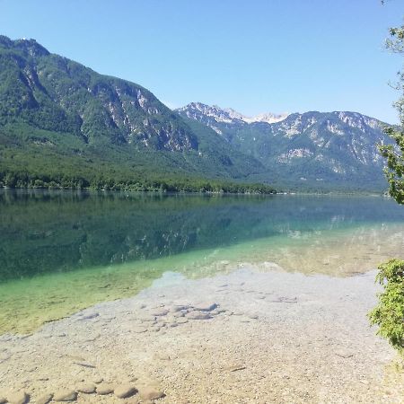 Apartment Mlakar Bohinji-tó Kültér fotó