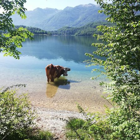 Apartment Mlakar Bohinji-tó Kültér fotó