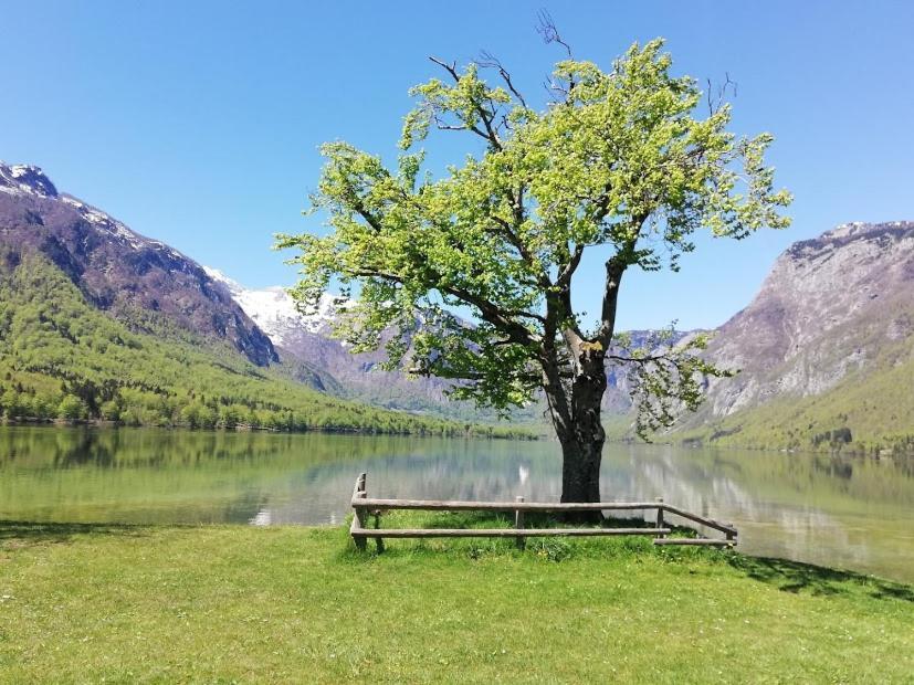 Apartment Mlakar Bohinji-tó Kültér fotó