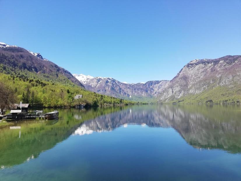 Apartment Mlakar Bohinji-tó Kültér fotó
