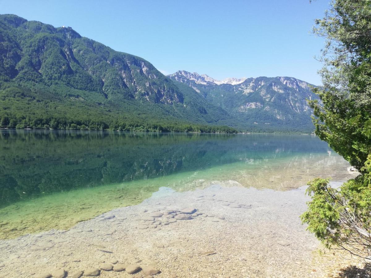 Apartment Mlakar Bohinji-tó Kültér fotó