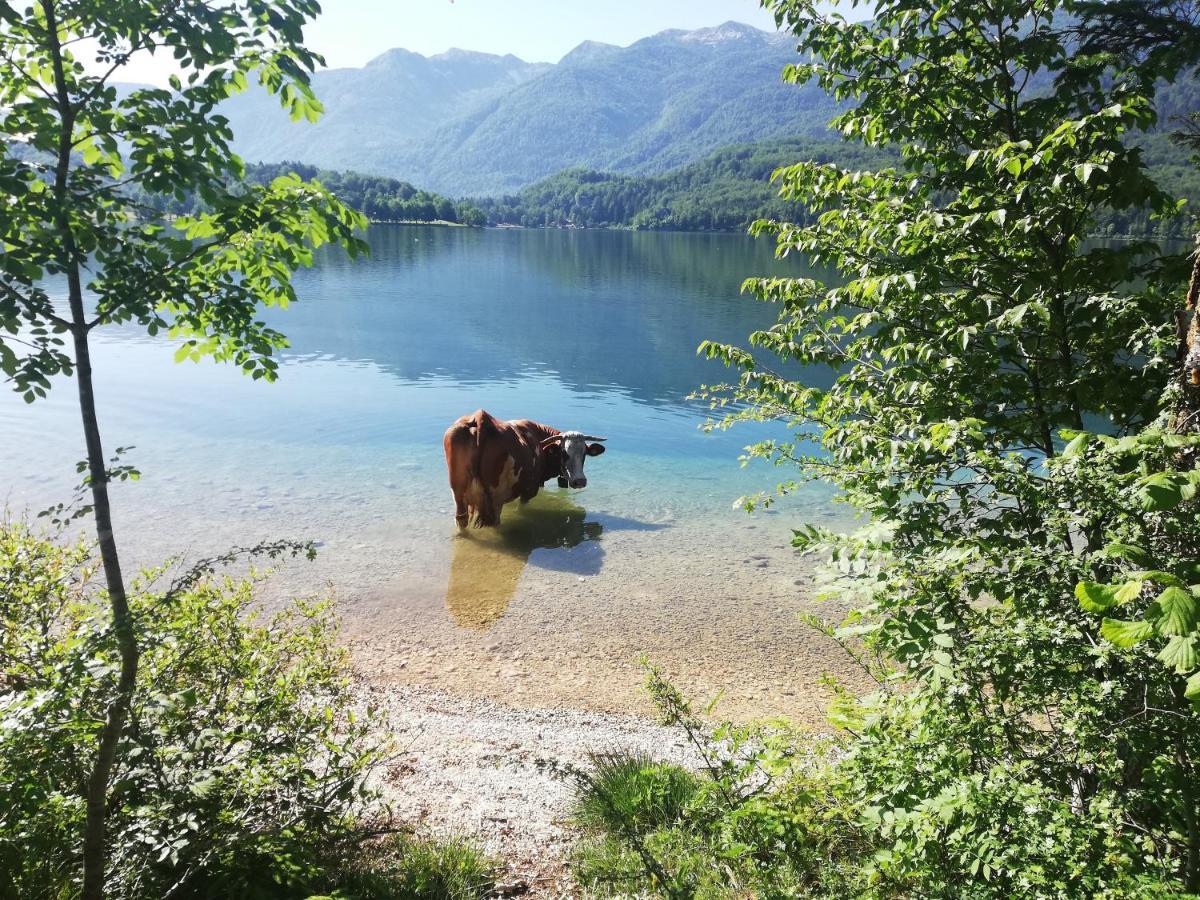 Apartment Mlakar Bohinji-tó Kültér fotó