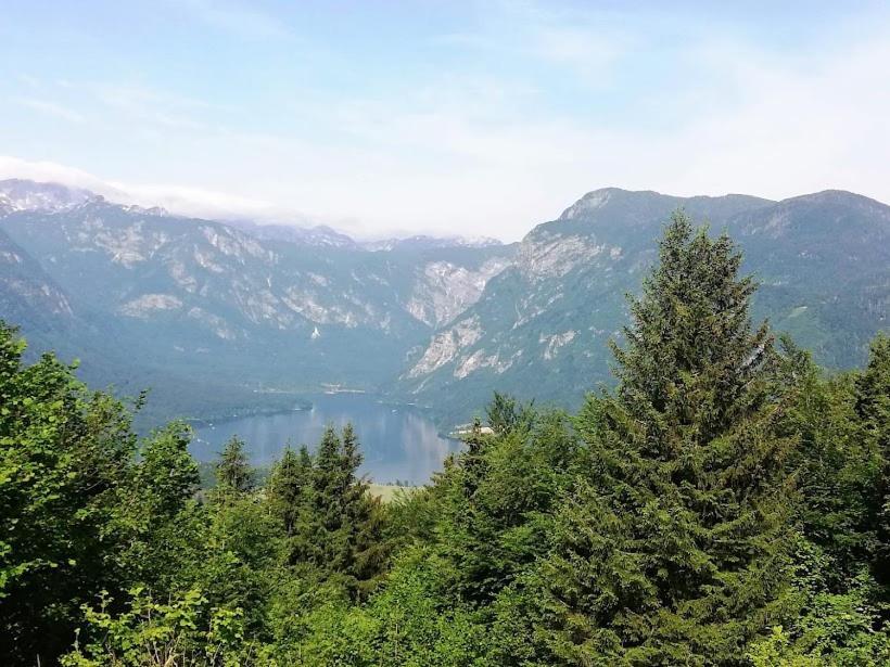 Apartment Mlakar Bohinji-tó Kültér fotó