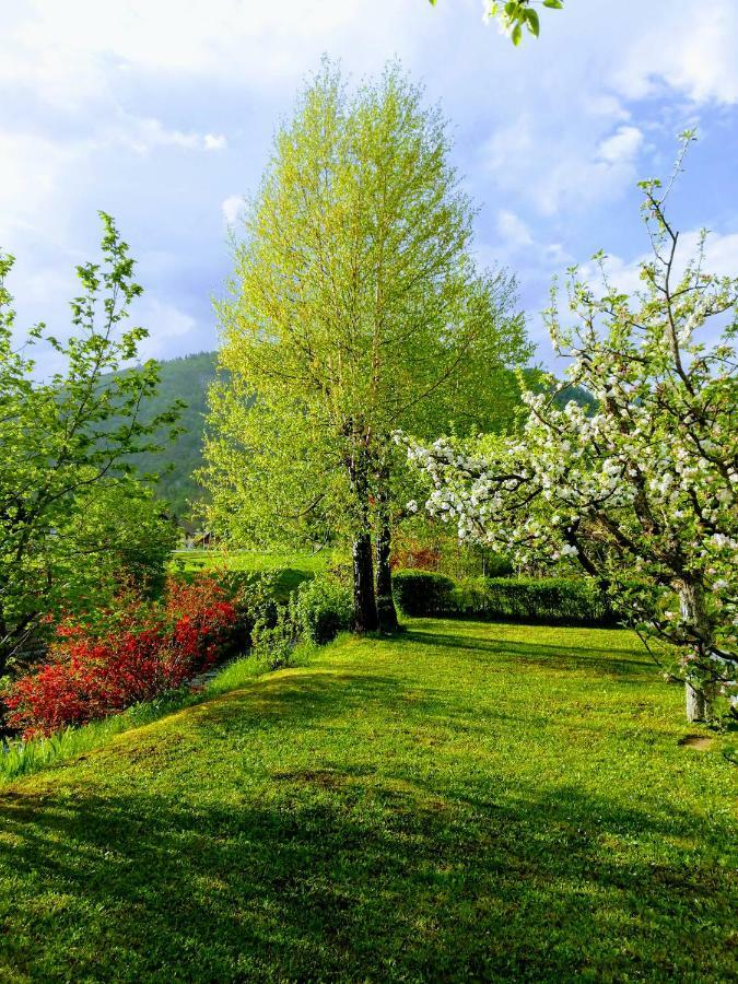 Apartment Mlakar Bohinji-tó Kültér fotó