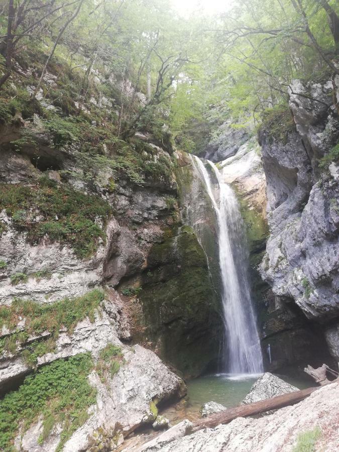 Apartment Mlakar Bohinji-tó Kültér fotó