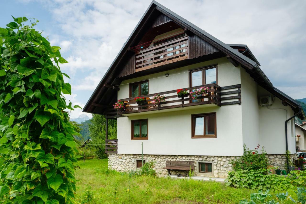 Apartment Mlakar Bohinji-tó Kültér fotó